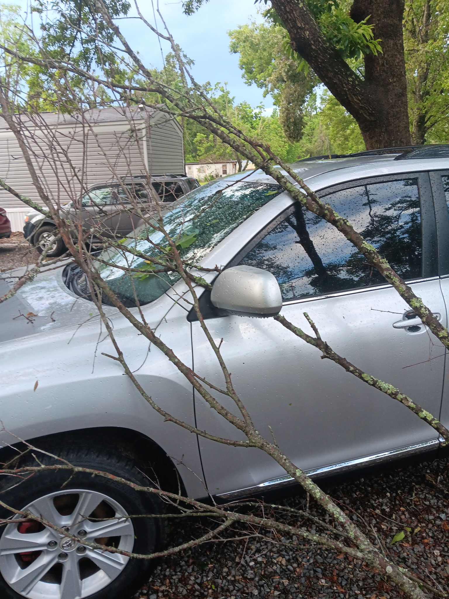 Tree branch on car roof and hood, McKinney, TX