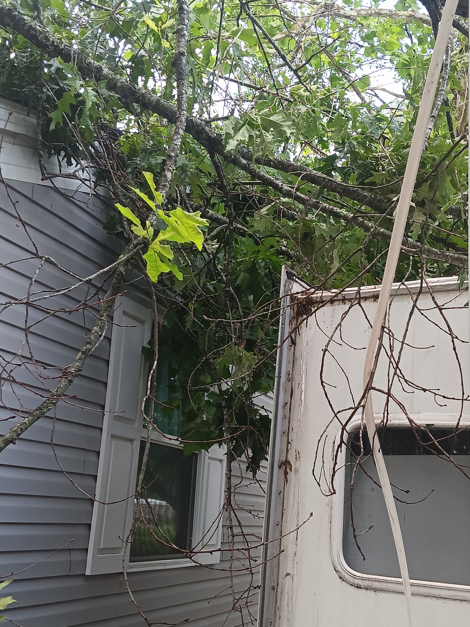 Tree crushing between home and RV, McKinney, TX