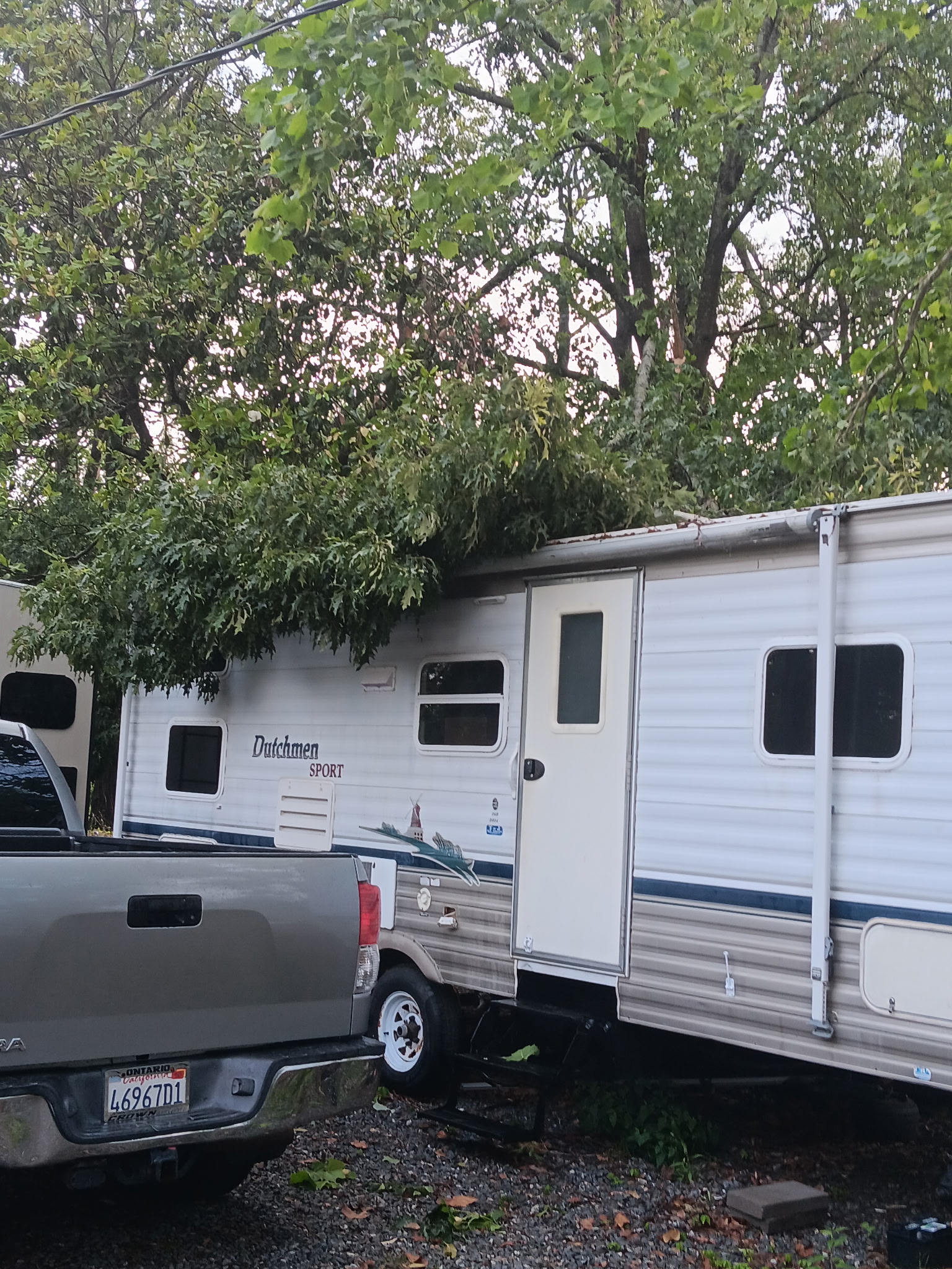 Storm damage cleanup - McKinney, TX