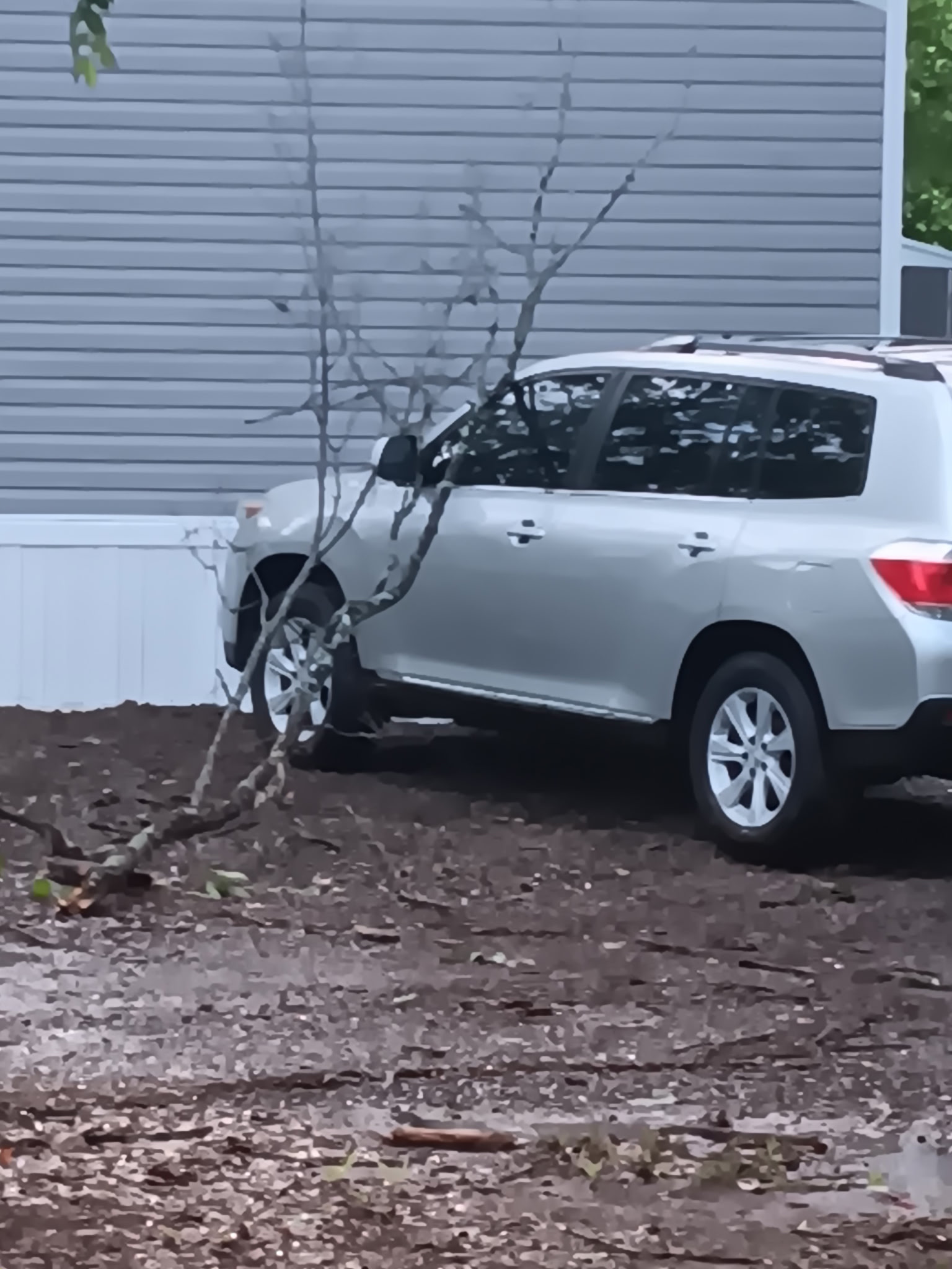 Storm damage cleanup - McKinney, TX