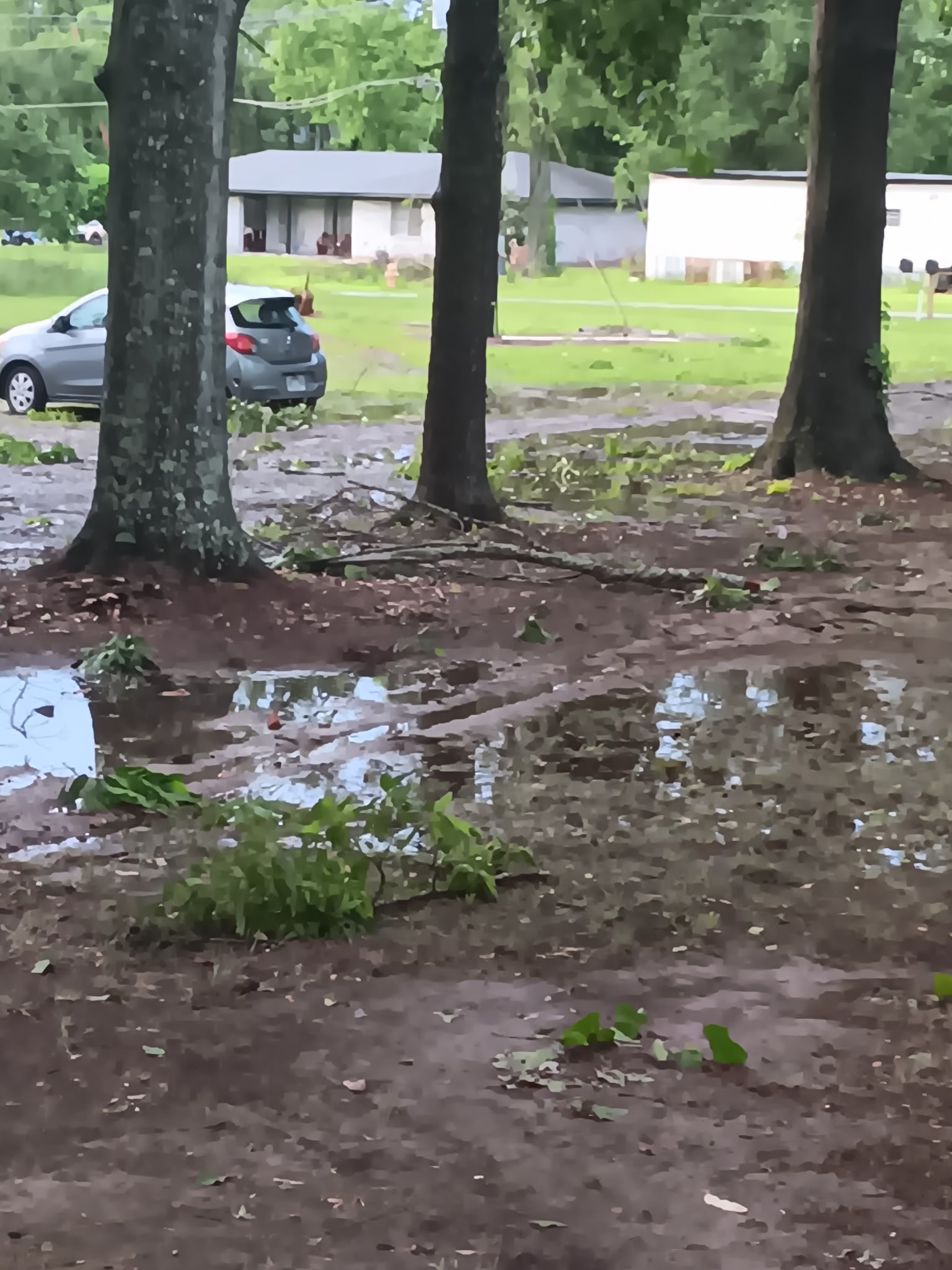 Storm-flooded yard before trenching, McKinney, TX