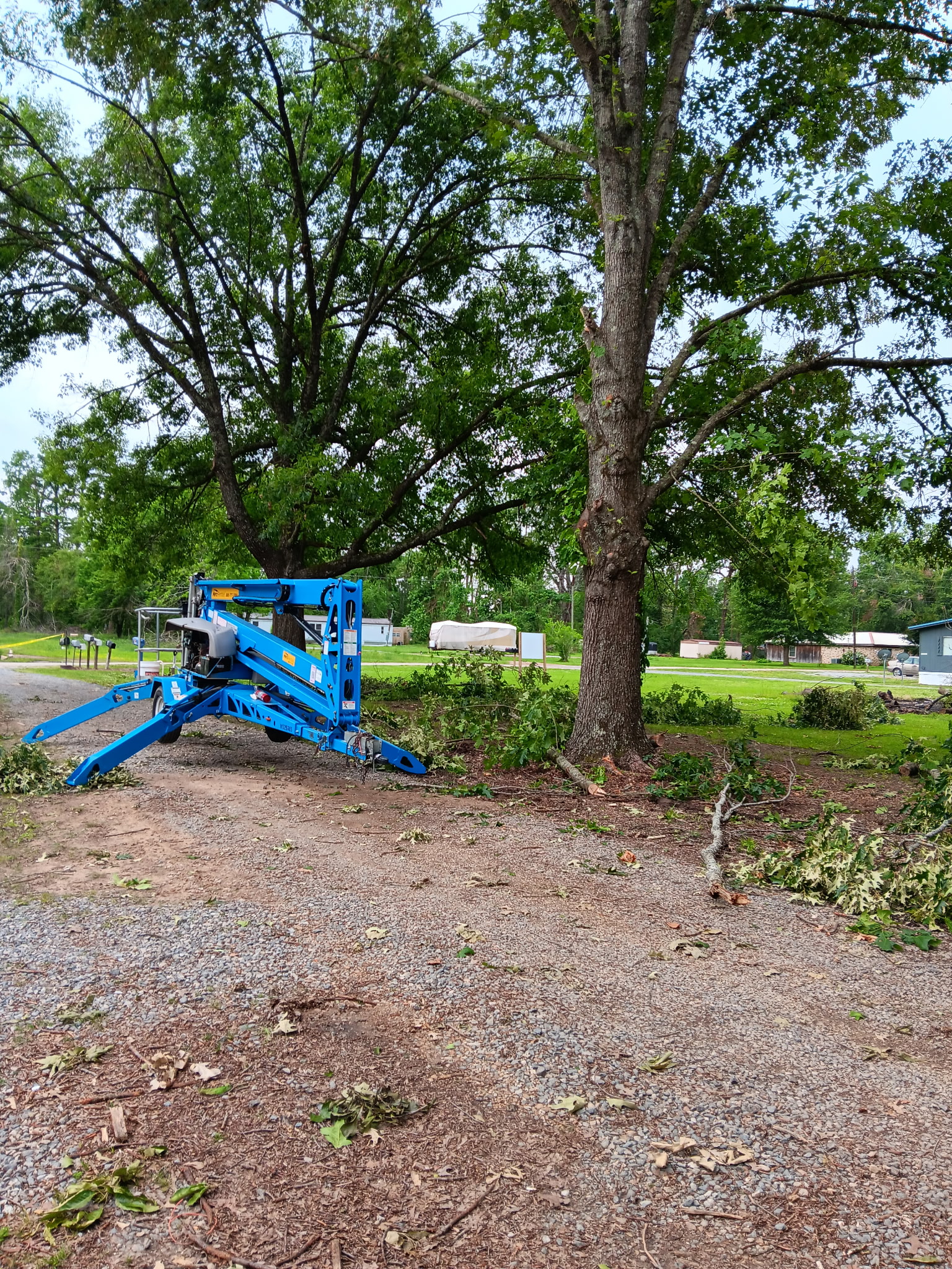 Aerial view of tree removal operation — McKinney, TX