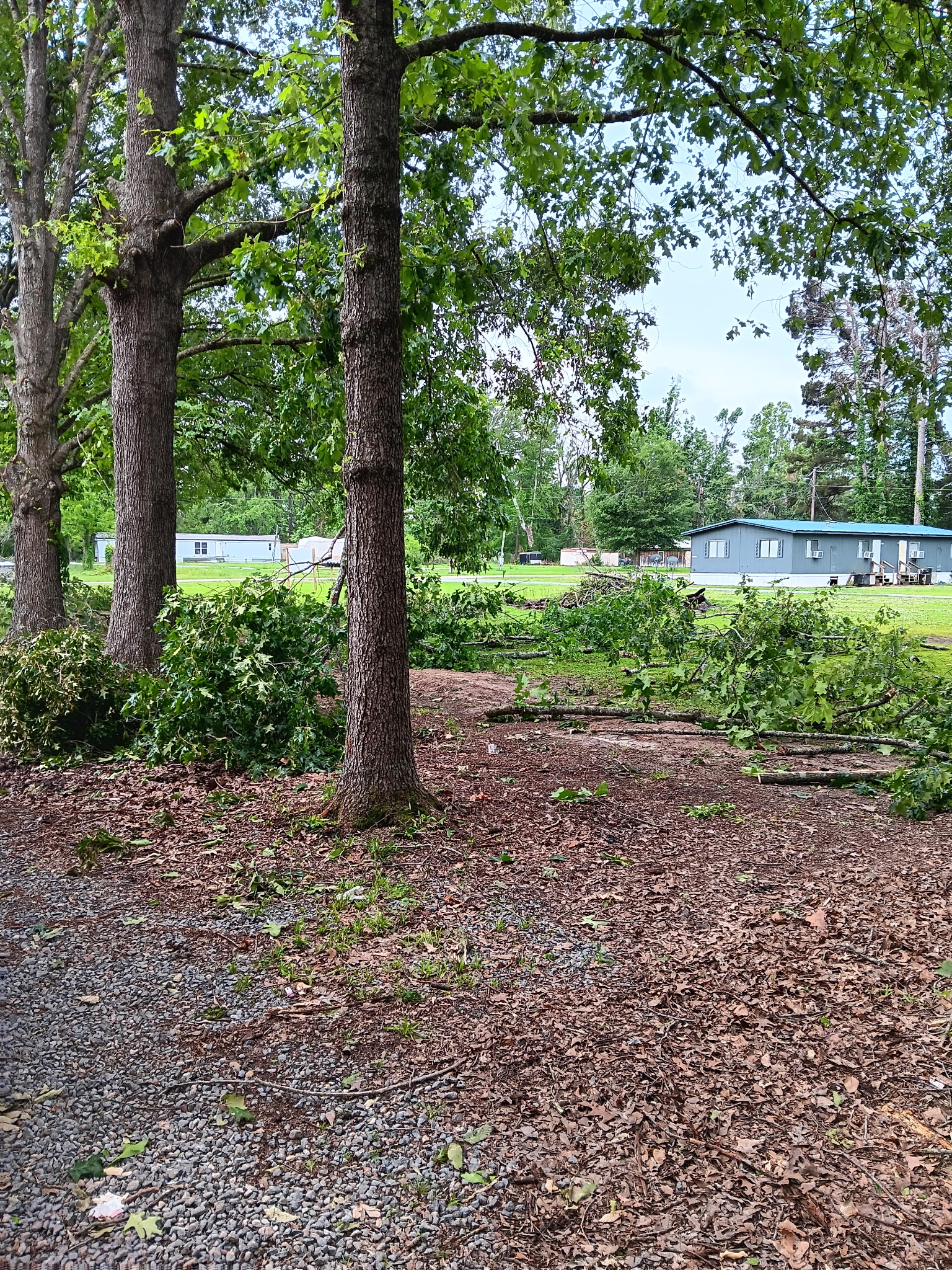 Cleanup and site preparation — McKinney, TX