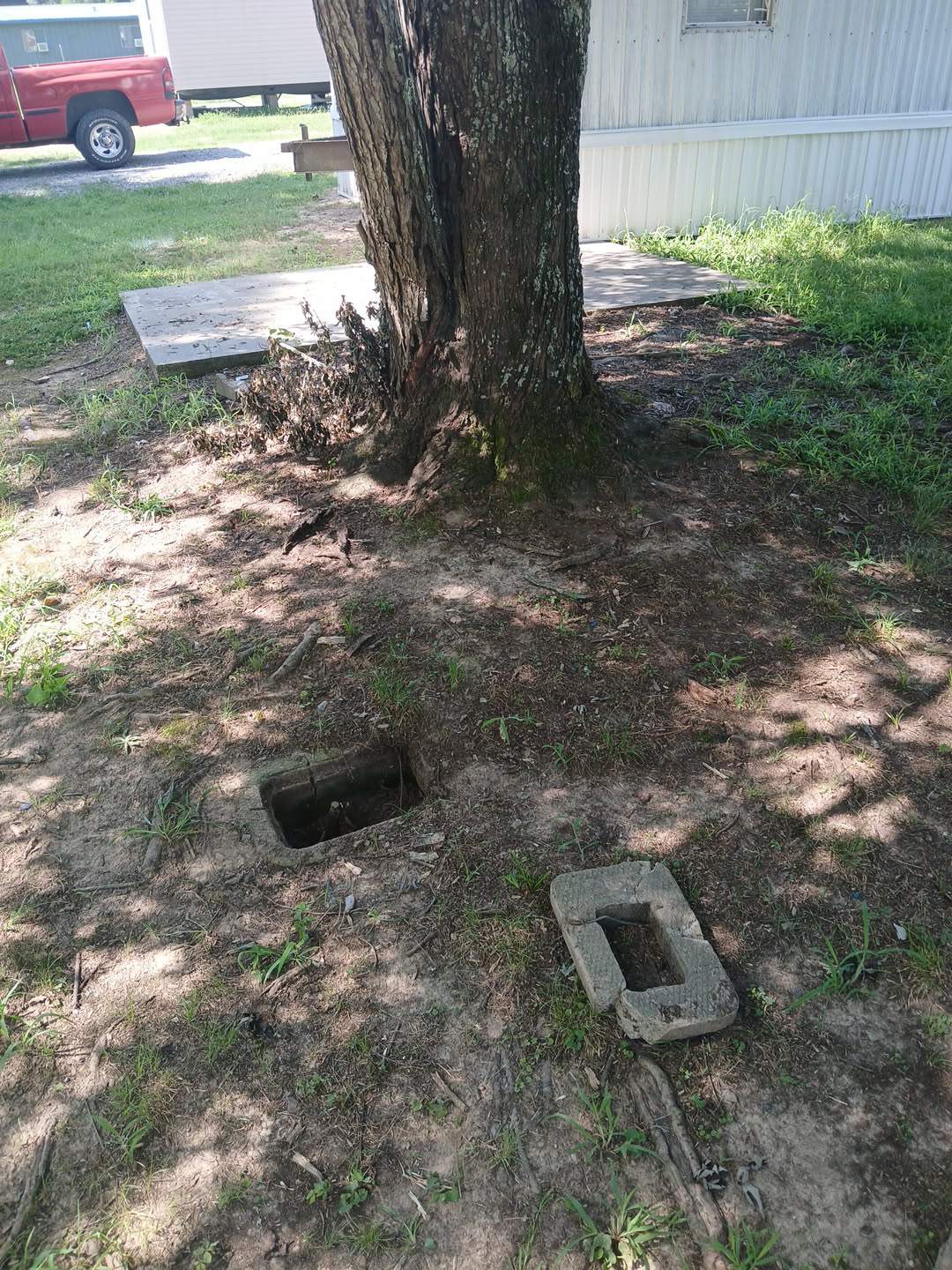 Exposed cleanout access point beside the offending tree, RV park near Dallas, TX