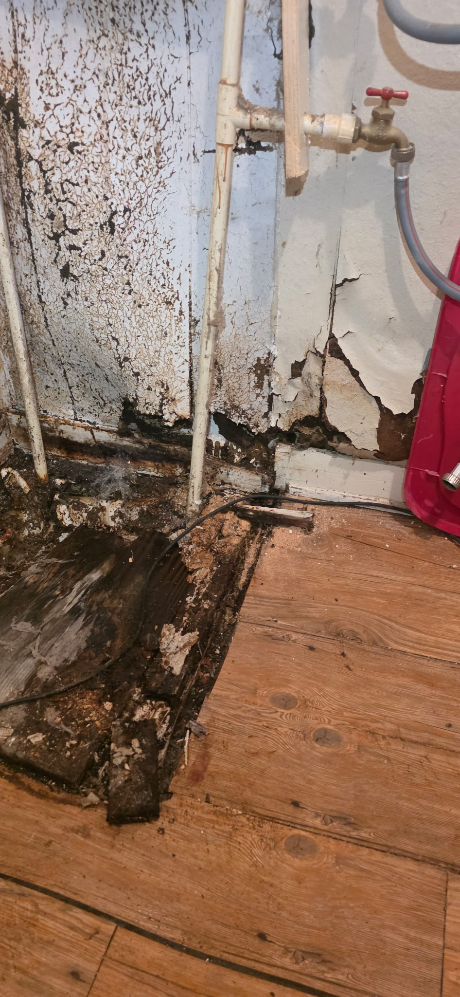 Full Floor Replacement - Water Damage (Before)